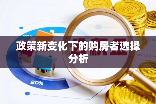 噶尔政策新变化下的购房者选择分析