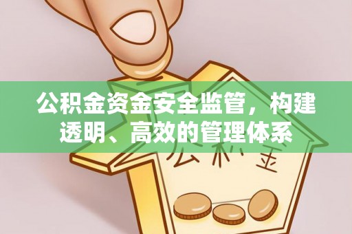 噶尔公积金资金安全监管，构建透明、高效的管理体系